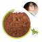 High Quality L Theanine Powder Organic Green Tea Extract
