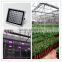Greenhouse LED Plant Light for Growing Fruits Buleberry Strawberry Grape