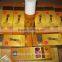 World Best Hair Regrowth Products Sunburst Hair Regrowth Oil 100ml