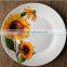 ceramic coloured dinner plates,china dinnerware