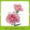 Reliable quality new coming preserved carnation flowers with natural