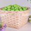 Speciallty provite handmade knit natural bamboo basket for fruit or sundries
