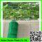 pe orchard net and professional agricultural net for vegetable support