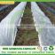 Water Permeable Agriculture Non woven Fabric/PP Spunbonded Nonwoven Fabric/Agriculture Ground Cover for Plant