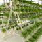 Hydroponic Greenhouse for Agricultural