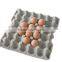 egg tray manufacturing machine