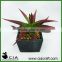 PVC Small Mini Fake Potted Aloe Plant in Black Square Pulp Pot for Wholeselling