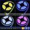SMD 3825 rgb flexible multicolorled light strip wholesale