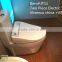 Vitreous china power support intelligent E-toilet bidet attached to toilet