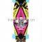 Black peafowl Printed 22 Inch Cruiser Skateboard Long Board skate