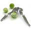 lemon squeezer in fruit and vegetable tools