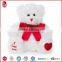 Valentine's Bear Hug Plush Toys/Soft Stuffed Toy for Valentine gifts/Plush Bear Red Heart lover toy
