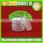 small empty plastic jar eye cream 5g cosmetic jar