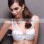 Hot Sale Fashion Sexy Ladies Bra ,women Underwear