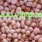 All kinds of large type peanut kernels