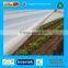 PP nonwoven crop protection fleece 17gsm