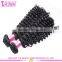 100% remy human hair virgin hair malaysian deep curly hair