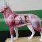 Anatomy Cow model Non-toxic PVC material high quality