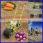 Two line manual onion seeder