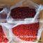 healthy delicious seedless preserved cherry