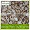Frozen Shiitake