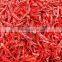 HOT SPICY RED CHILI EXPORTER