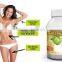GMP Factory Supply Free Sample 50% 60% Garcinia Cambogia Extract