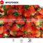Hot!! 2015 crop best price Frozen IQF Strawberry fruit China
