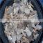 oyster mushroom preserved 50kg drum grey oyster mushroom in brine preserve oyster mushroom price
