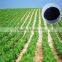 18% Alga Acid Seaweed Extract Fertilizer