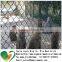 China new design field wire mesh fence /chain link field fence