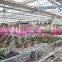 PC Sheet Greenhouses
