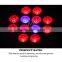 12W PAR 38 LED Grow Light, Hydroponics Indoor Growing System