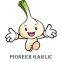 Pioneer Garlic Group