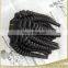 Top Grade 8A wholesale virgin brazilian molado curly hair