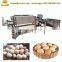 5000 Pcs/h Chicken Duck Goose Eggs Washing Machine Egg Cleaning Machine on Sales