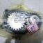 Apply For Truck Oil Screw Pump  Hot Sell 100% New