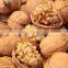 high efficiency hot sale walnut cracking machine almond  sheller machine