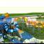 Hot Popular Water Slide Aquatic Attraction Fiberglass Pool Slide For Hotel And Resorts For Sale