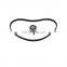 Timing Belt Kit Fits For GENERAL MOTORS 1606369
