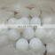 Custom Solid POM PE Nylon PP Plastic Christmas Ball