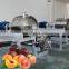 Industrial line fruit and vegetable pulp processing machine