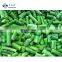 Sinocharm BRC A Approved 2-4CM IQF Green Asparagus Center Cut Frozen Green Asparagus