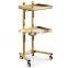 Adjustable Rolling Hair salon trolley with wheels for barber shop beauty salon tray cart hair station equipment furniture