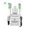 Sales criolipolisis fat freezingmachine with 3 head for beauty salon use
