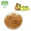 Sciyu supply alma Phyllanthus emblica fruit Extract powder