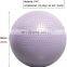 65cm Exercise Yoga Ball for Balance Stability, Extra Thick Birthing Pregnancy Ball  Multiple Use Office Chair