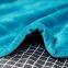 Electric Blanket/ Double Soft Velvet Blanket/ Blanket Heater/ Quick Heating Electric Blanket/