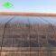 UV protection mist-resistant 3-5 layers heat keeping daylight greenhouse film