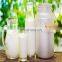 HOT Saling  Industrial Small Scale uht/pasteurized milk processing plant